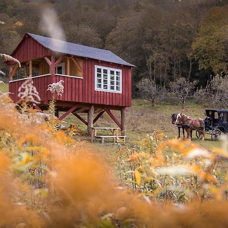 Valea Verde Retreat Transilvania Kund Kültér fotó