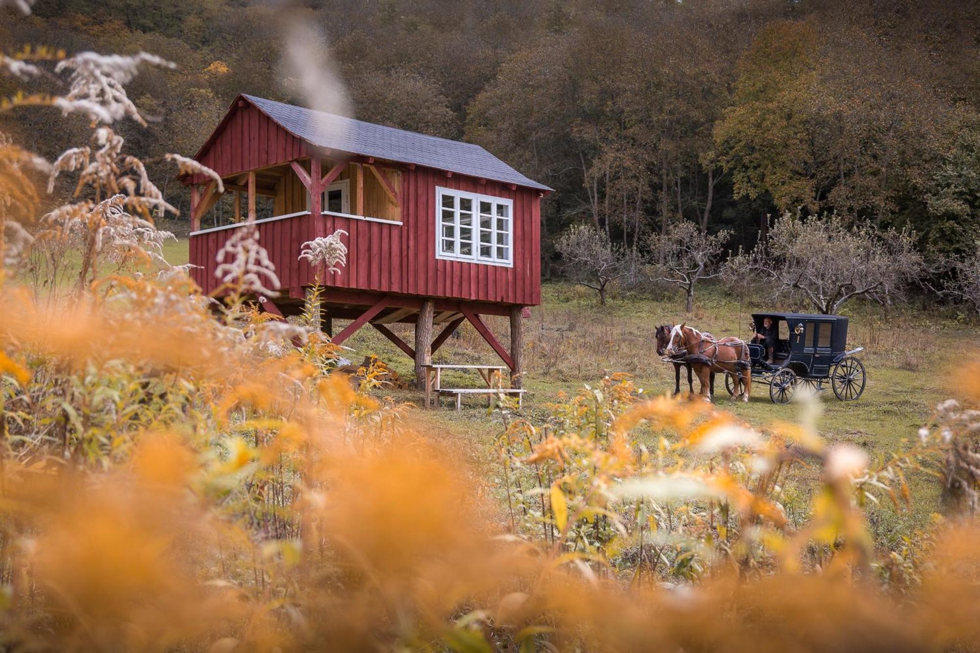 Valea Verde Retreat Transilvania Kund Kültér fotó